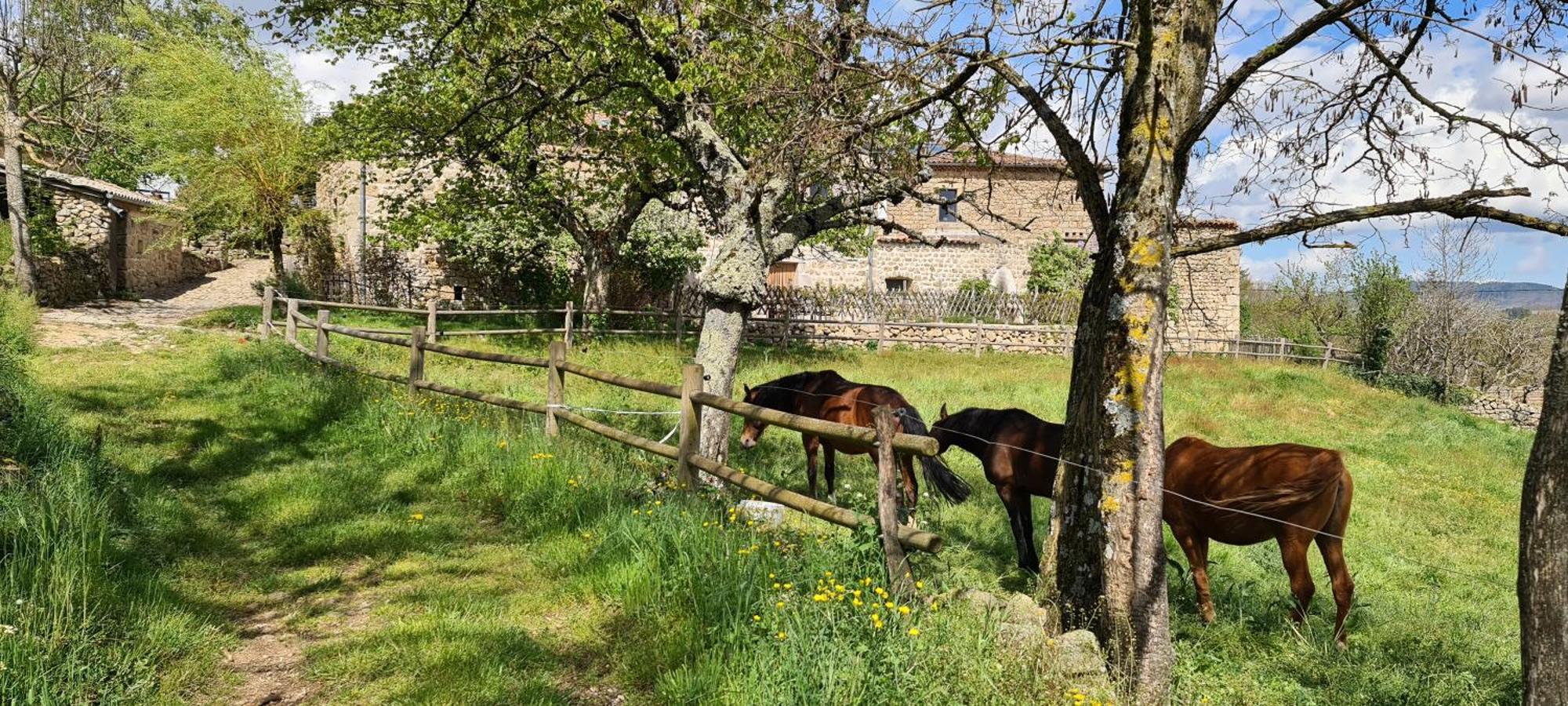 Gites Domaine De Silhac Ardeche Εξωτερικό φωτογραφία