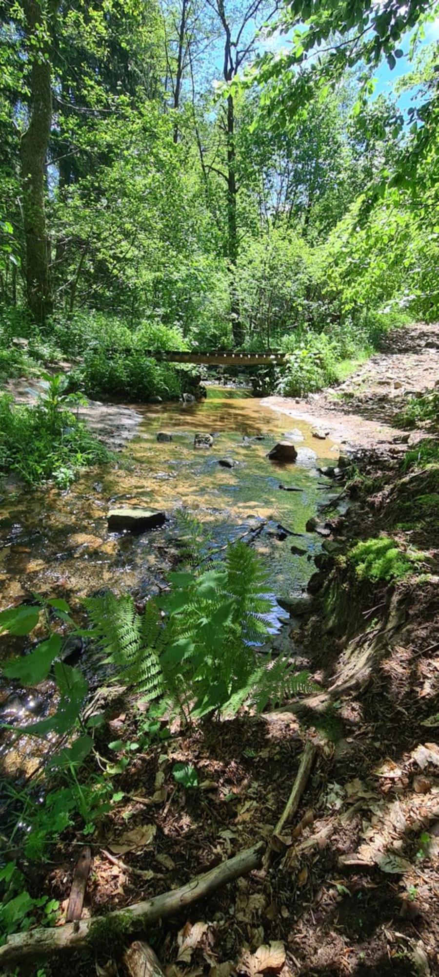 Gites Domaine De Silhac Ardeche Εξωτερικό φωτογραφία